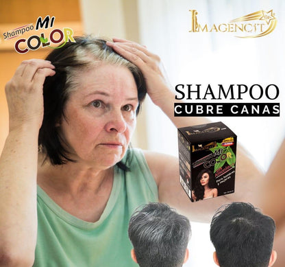 shampoo cubre canas
