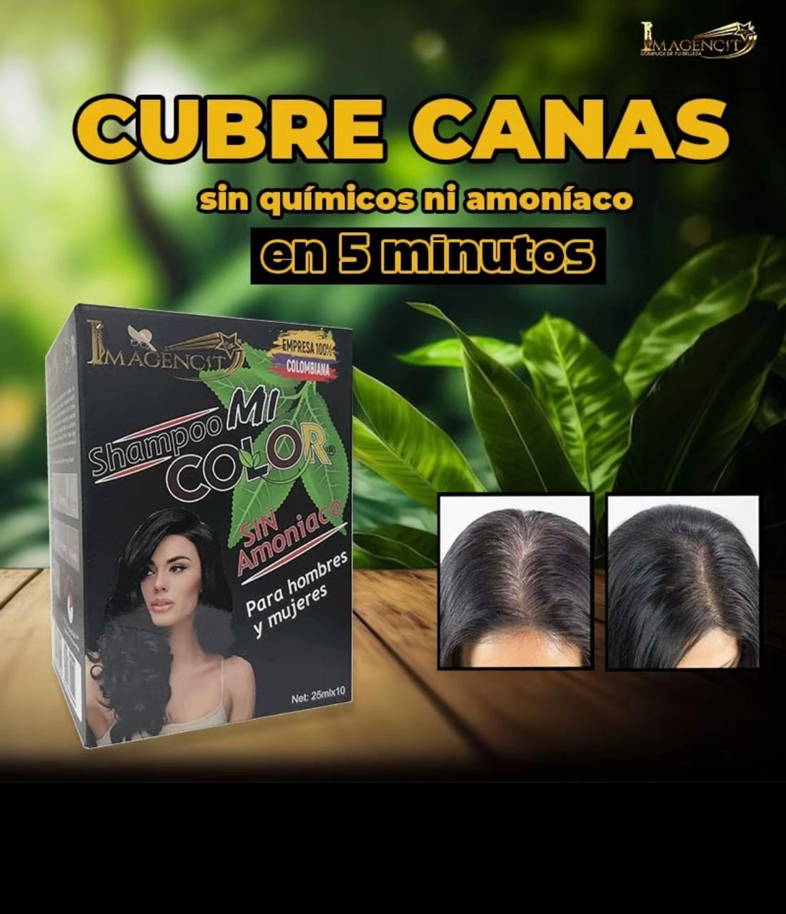 shampoo cubre canas