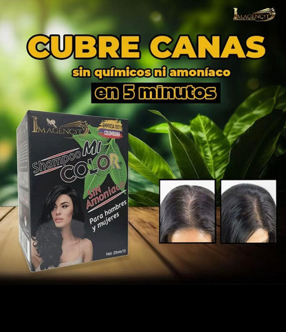 shampoo cubre canas